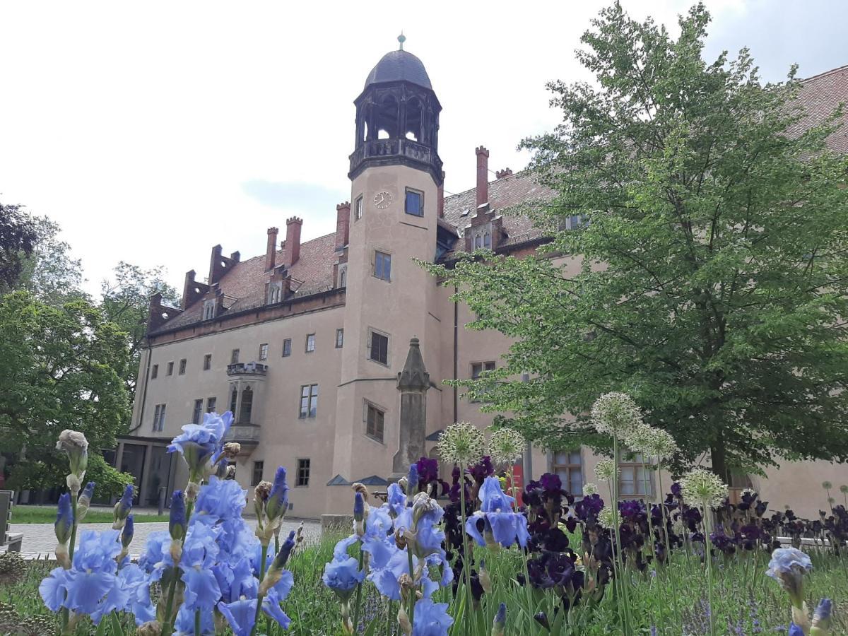 Fewo Rosenbluete Am Stadtpark Wittenberg Esterno foto